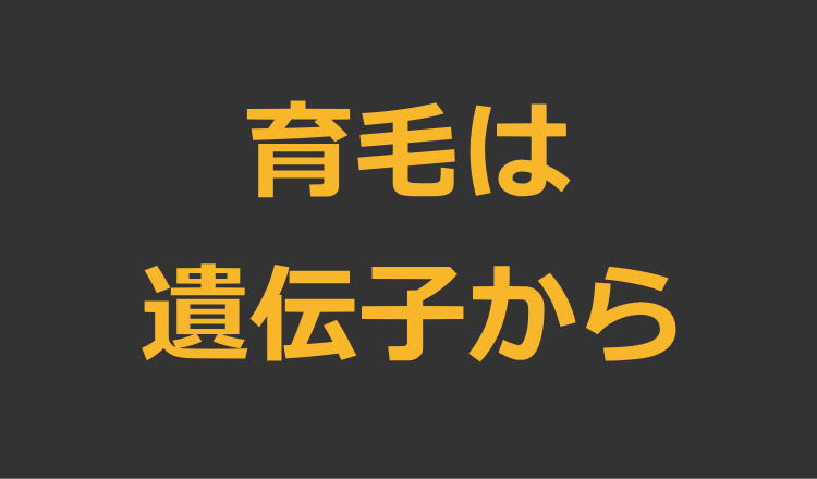 ペルソナ育毛剤